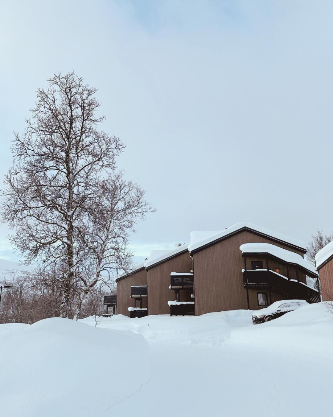 Skaidi Luxury Lodge - Heart Of The Arctic Hammerfest Εξωτερικό φωτογραφία